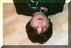 Pat2000_35.jpg (58073 Byte)